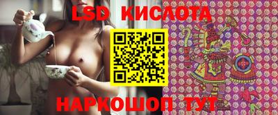 гидра Кандалакша