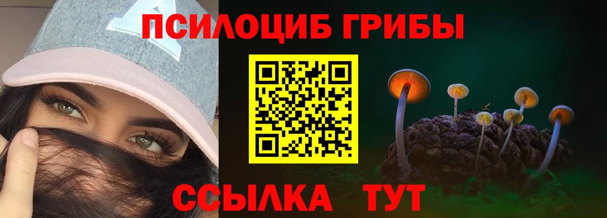 Псилоцибиновые грибы GOLDEN TEACHER  Вход с VPN  Евпатория  наркотики  Галлюциногенные грибы Psilocybine cubensis 