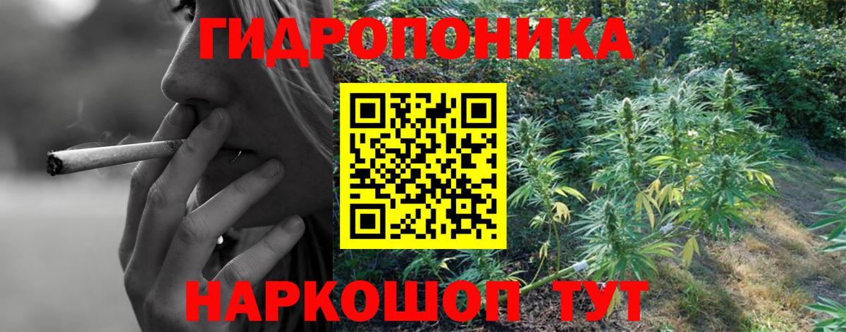 Каннабис индика Евпатория